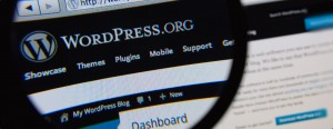 WordPress Video Tutorials